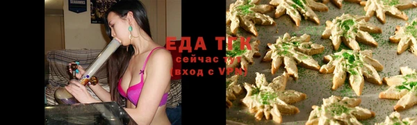 стаф Осинники