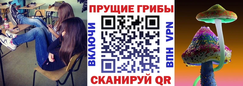 Галлюциногенные грибы Cubensis  магазин продажи наркотиков  Крым 